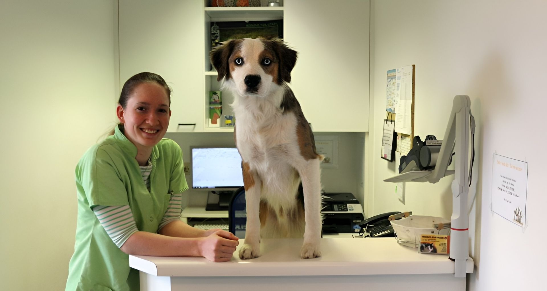 Hunde - Tierärztliche Gemeinschaftspraxis Dr. G. Oppelland-Störk und Dr. M. Störk